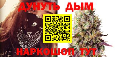Альфа ПВП Можайск
