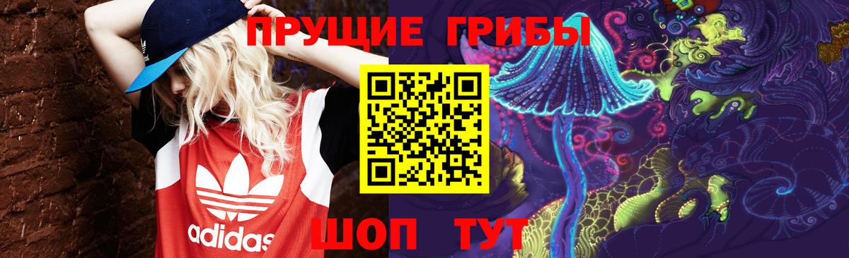 Галлюциногенные грибы Cubensis Шарыпово