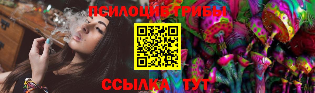 где продают   Вход с VPN  Шарыпово  Галлюциногенные грибы MAGIC MUSHROOMS  Псилоцибиновые грибы мицелий 